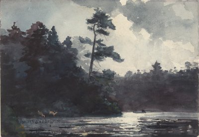 Adirondack søen af Winslow Homer