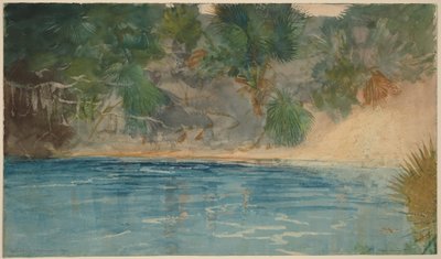  af Winslow Homer