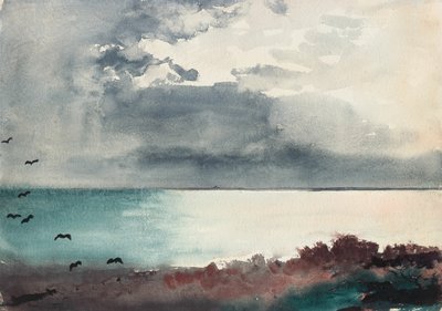 Storm i udbrud, Maines kyst af Winslow Homer