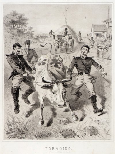 Skitser af kampagnen: Fouragering af Winslow Homer