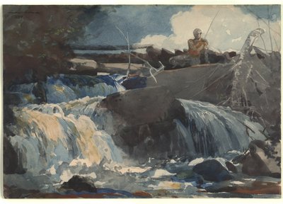 Casting in the Falls af Winslow Homer