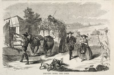 Driving Home the Corn, 1858. af Winslow Homer