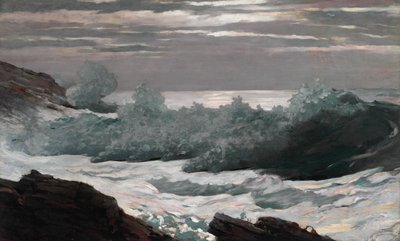 Tidlig morgen efter en storm på havet af Winslow Homer