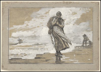Fiskepige med net, 1882 af Winslow Homer