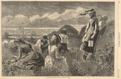 Gathering Berries, fra Harper af Winslow Homer