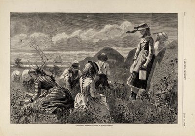 Gathering Berries, fra Harper