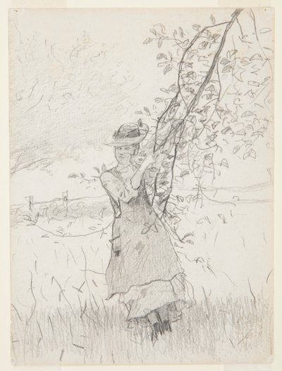 Pige, der holder en gren af et æbletræ af Winslow Homer