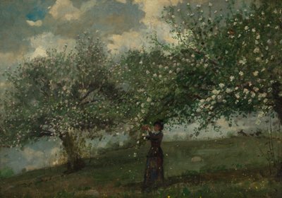 Pige plukker æbleblomster af Winslow Homer