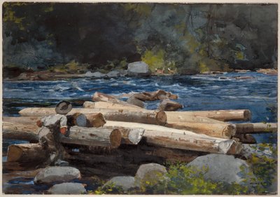 Hudsonfloden af Winslow Homer