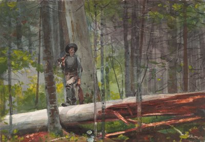  af Winslow Homer