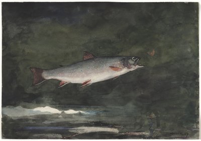  af Winslow Homer