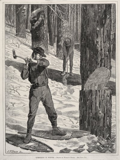  af Winslow Homer