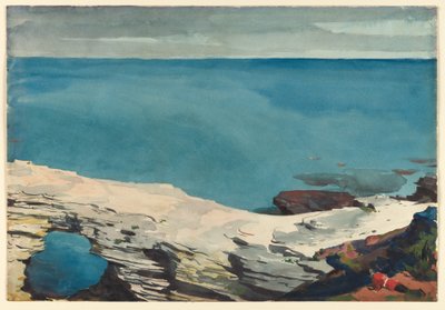 Natural Bridge, Bermuda, ca. 1901 (akvarel) af Winslow Homer