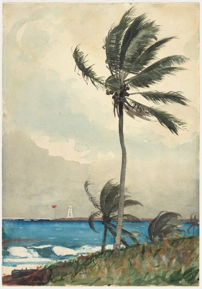 Palmetræ, Nassau af Winslow Homer