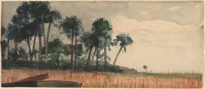 Palmetræer, rød af Winslow Homer