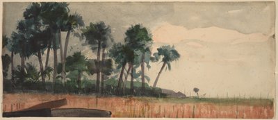 Røde palmer af Winslow Homer