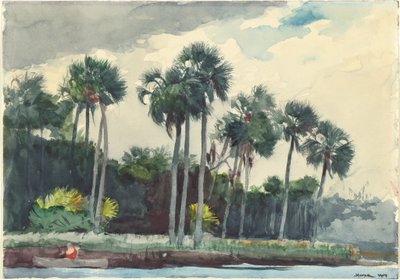 Rød skjorte, Homosassa, Florida af Winslow Homer
