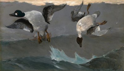  af Winslow Homer