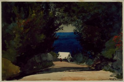 Vej i Bermuda, ca. 1899-1901 (akvarel på papir) af Winslow Homer