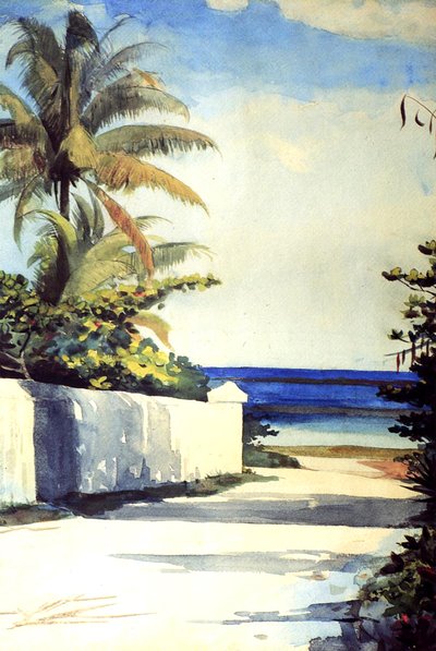 Vej i Nassau, 1898-99 af Winslow Homer