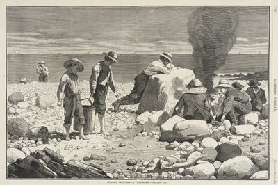  af Winslow Homer