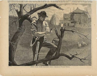 Forårsarbejde på gården - fletning af Winslow Homer