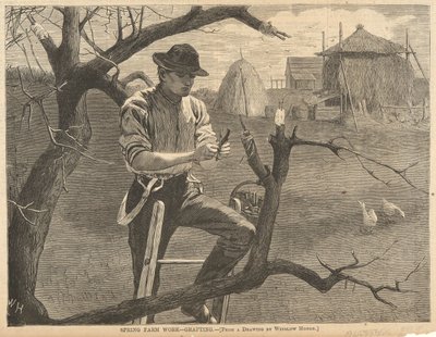 Spring Farm Arbejde af Winslow Homer
