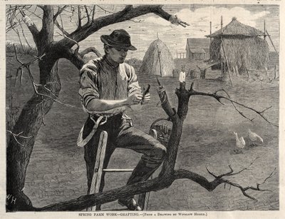 Spring Farm Work - Podning, 1870. af Winslow Homer