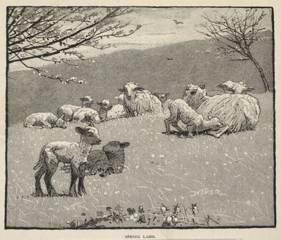  af Winslow Homer