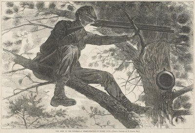  af Winslow Homer