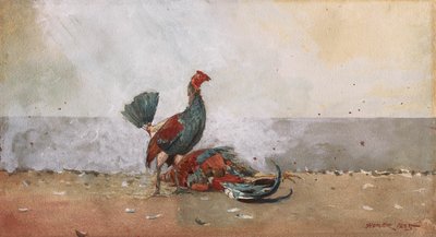 Hanekampen af Winslow Homer