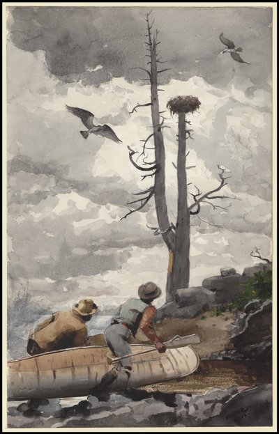Ørnereden, 1902 af Winslow Homer