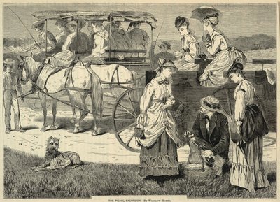 The Picnic Excursion, fra Appletons