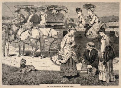 The Picnic Excursion, fra Appletons