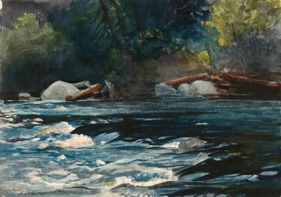 The Rapids, Hudson River, Adirondacks af Winslow Homer