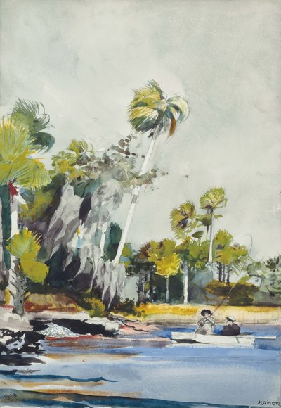 Dyngen af skaller af Winslow Homer