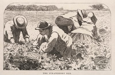 Jordbærsengen, 1868. af Winslow Homer