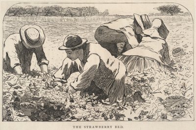 The Strawberry Bed, fra Our Young Folks, juli 1868 af Winslow Homer