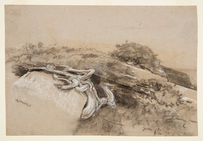 Trærødder, Prouts Hals af Winslow Homer