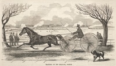 Trav på mølledæmningen, Boston af Winslow Homer