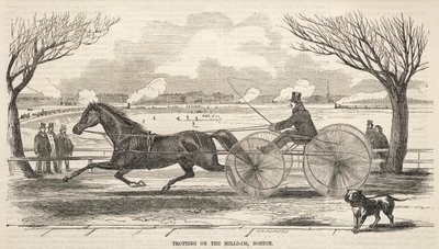 Trav på Mill Dam, Boston, 1859. af Winslow Homer
