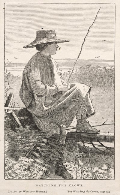 At holde øje med kragerne af Winslow Homer