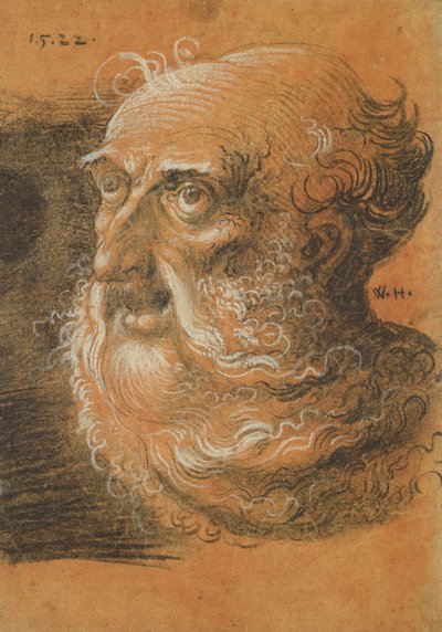 Head Study, 1522 (kul og hvidt kridt på papir) af Wolf Huber
