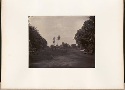[Belægningsarbejde på vejen i Prapatan, Batavia]. af Woodbury and Page