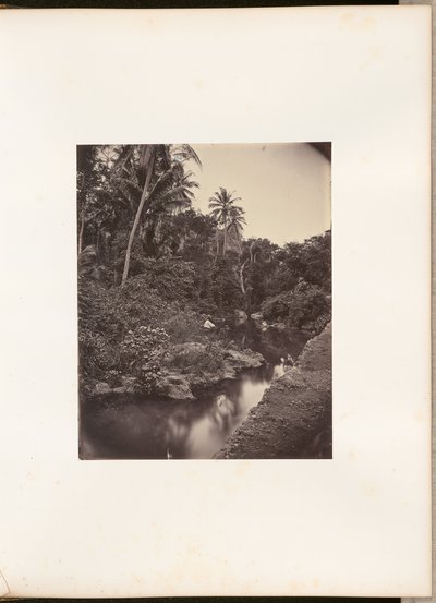 [Flod ved Kupang] af Woodbury and Page