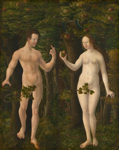 The Fall of Man [midterste panel], ca. 1535. af Workshop of Albrecht Altdorfer