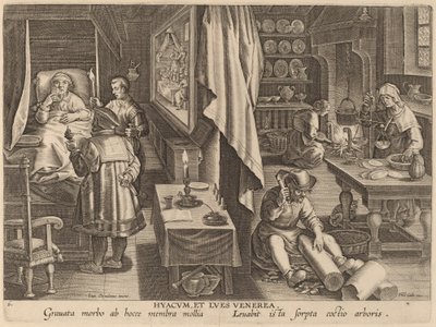 Guaiacum og venerisk infektion af Workshop of Philip Galle after Jan van der Straet