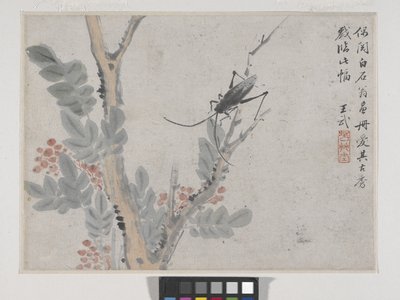 Insekt og træ efter Shen Zhou (blæk og farve på papir) af Wu Wang