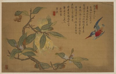 Fugl, frugt og blomster af Wu Zhang