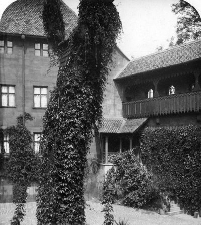 Lindetræ i en gårdhave, Nürnberg, Bayern, Tyskland, omkring 1900-tallet. af Wurthle and Sons